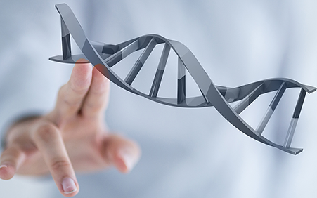 关于馨怡供卵公司